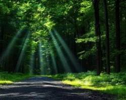 Why Overthinking Is Quietly Destroying Your Peace (And How to Stop It)