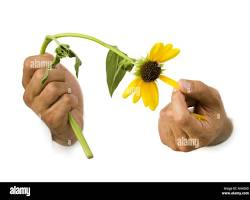 The Hidden Power of Letting Go: How Detachment Can Transform Your Life